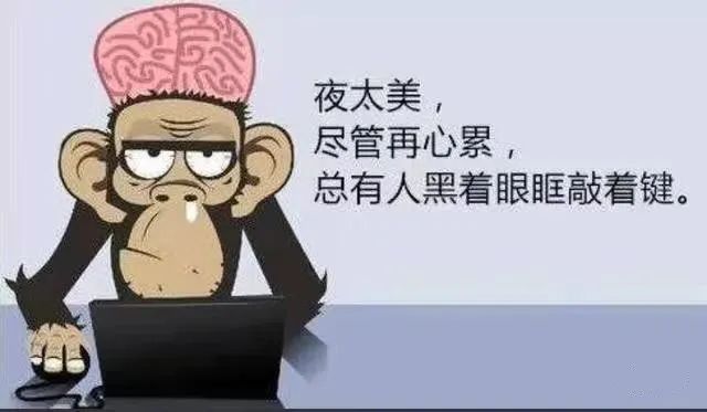 程序員假期怎么過，快來看看你屬于哪一種？